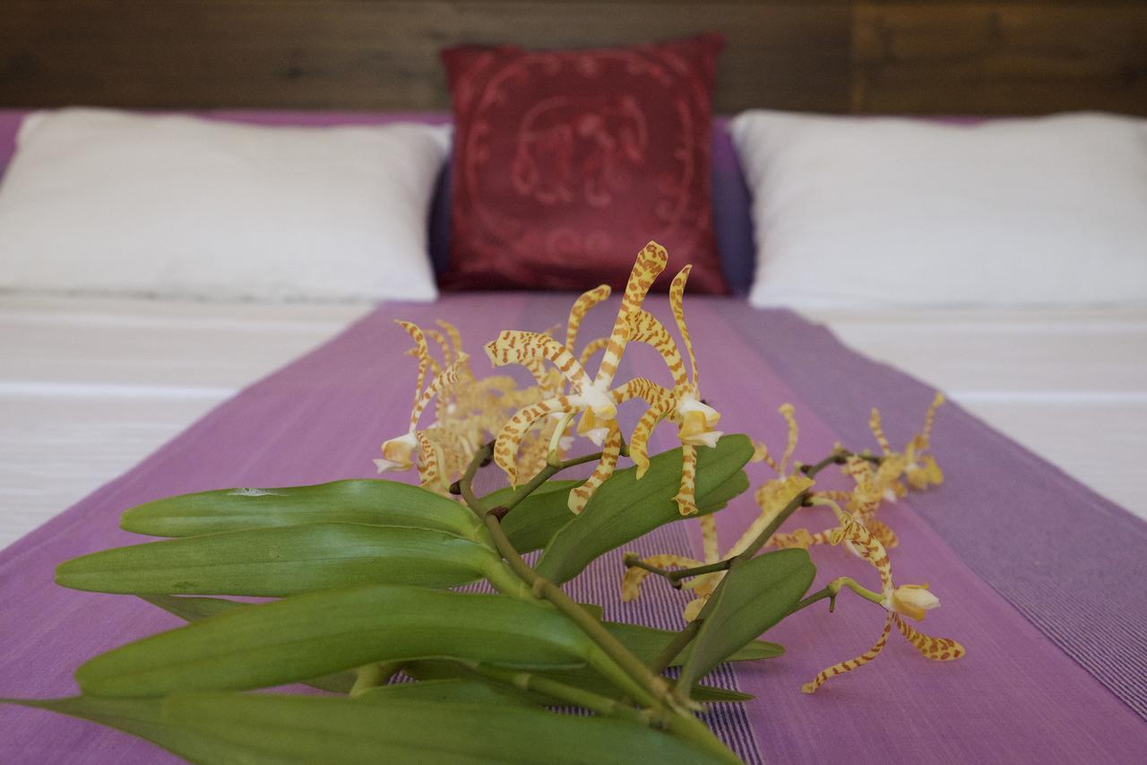 Sanda Eliya Resort Μπεντότα Εξωτερικό φωτογραφία